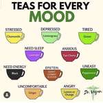 image for Handy dandy guide to teas