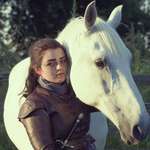 image for Arya Stark and her steed! Not my best cosplay photo but a fun one none the less