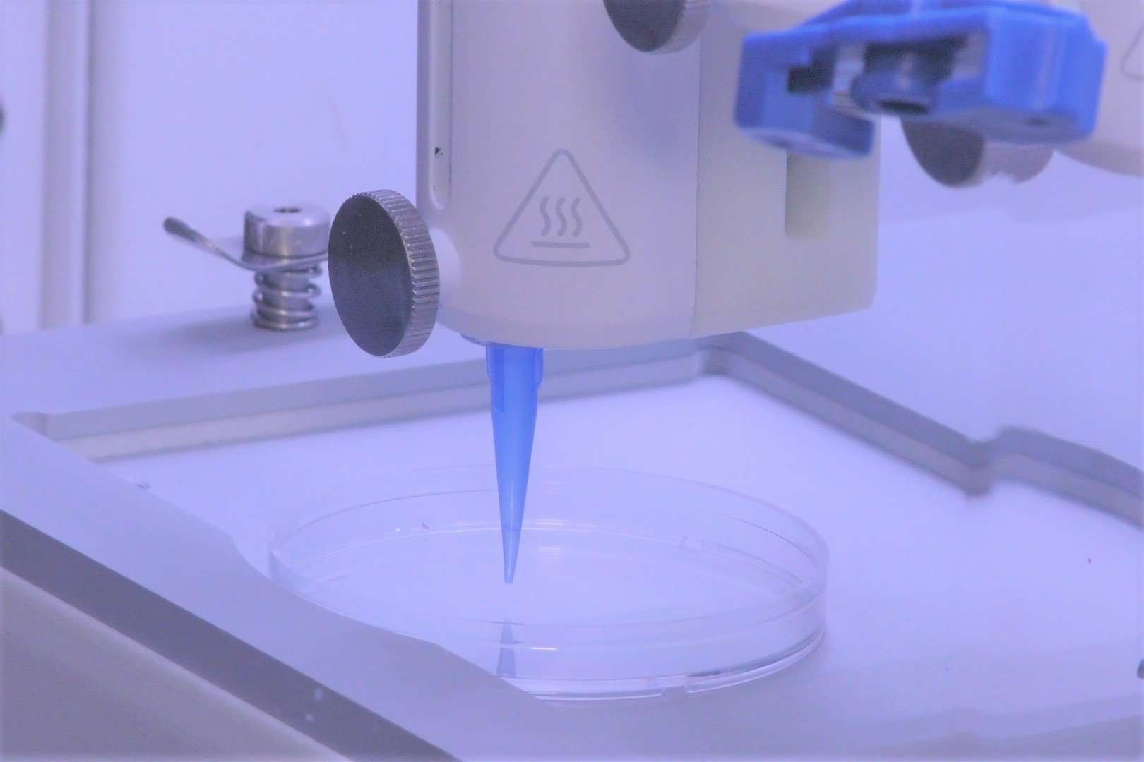 image for Living Skin Can Now be 3D-Printed With Blood Vessels Included
