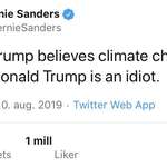 image for Bernie Sanders: "Donald Trump is an idiot"