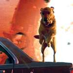 image for In Independence Day (1996) the dog Boomer survives, which makes him an OK Boomer