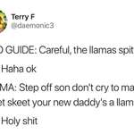 image for Skeet skeet your new daddy’s a llama