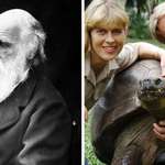 image for Harriet The Tortoise, Who Died In 2006, Had Seen Charles Darwin In Person