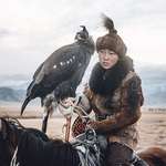 image for Mongolian huntress with her eagle