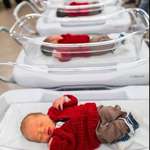 image for Newborns at Pittsburgh hospital dressed up as Mister Rogers to celebrate World Kindness Day