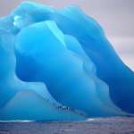 image for Penguins on an iceberg that's been flipped upside down, known as a blue iceberg.