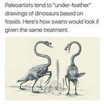 image for Thanks , i hate swan when given the same treatment as dinosaurs are given by paleoartists