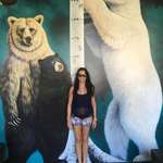 image for How big are bears?