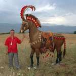 image for Horse wearing reconstructed 2500 year old Scythian horse armour unearthed in the region, Altai Mountains Siberia