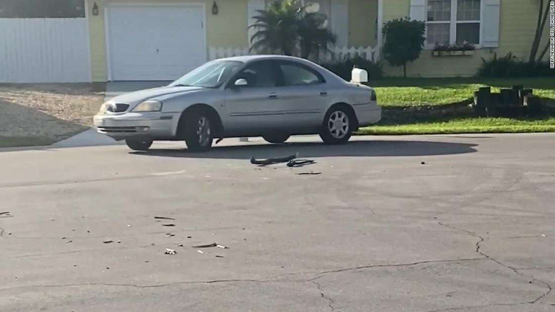 image for A Florida dog put a car into reverse and drove it in circles for nearly an hour