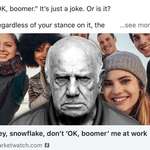 image for Boomer posted this complaining about how ok boomer is age discrimination but still calls young people snowflakes