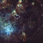 image for My 13 hour exposure of the Tarantula Nebula from my backyard