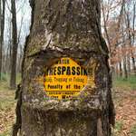 image for This tree swallowing a trespassing sign.