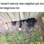 image for Friendly Neighbourhood Pups