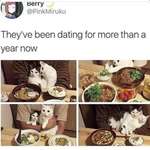 image for These cats 2 year anniversary