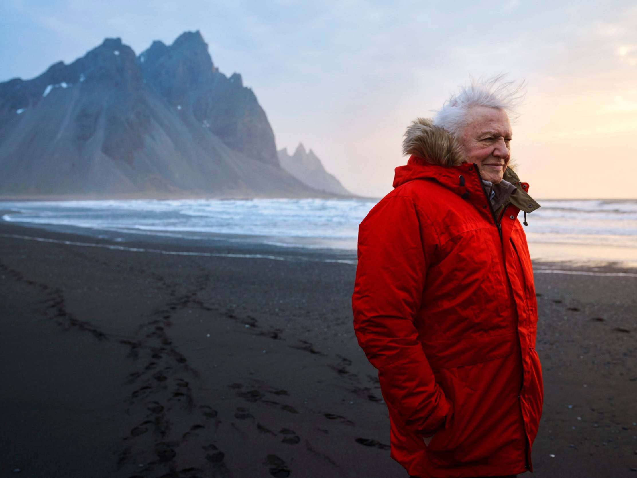 image for David Attenborough brands Boris Johnson ‘shameful’ for skipping climate change TV debate