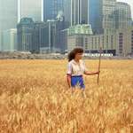 image for In 1982 Agnes Denes cultivated, grew, and harvested a two-acre wheatfield in downtown Manhattan