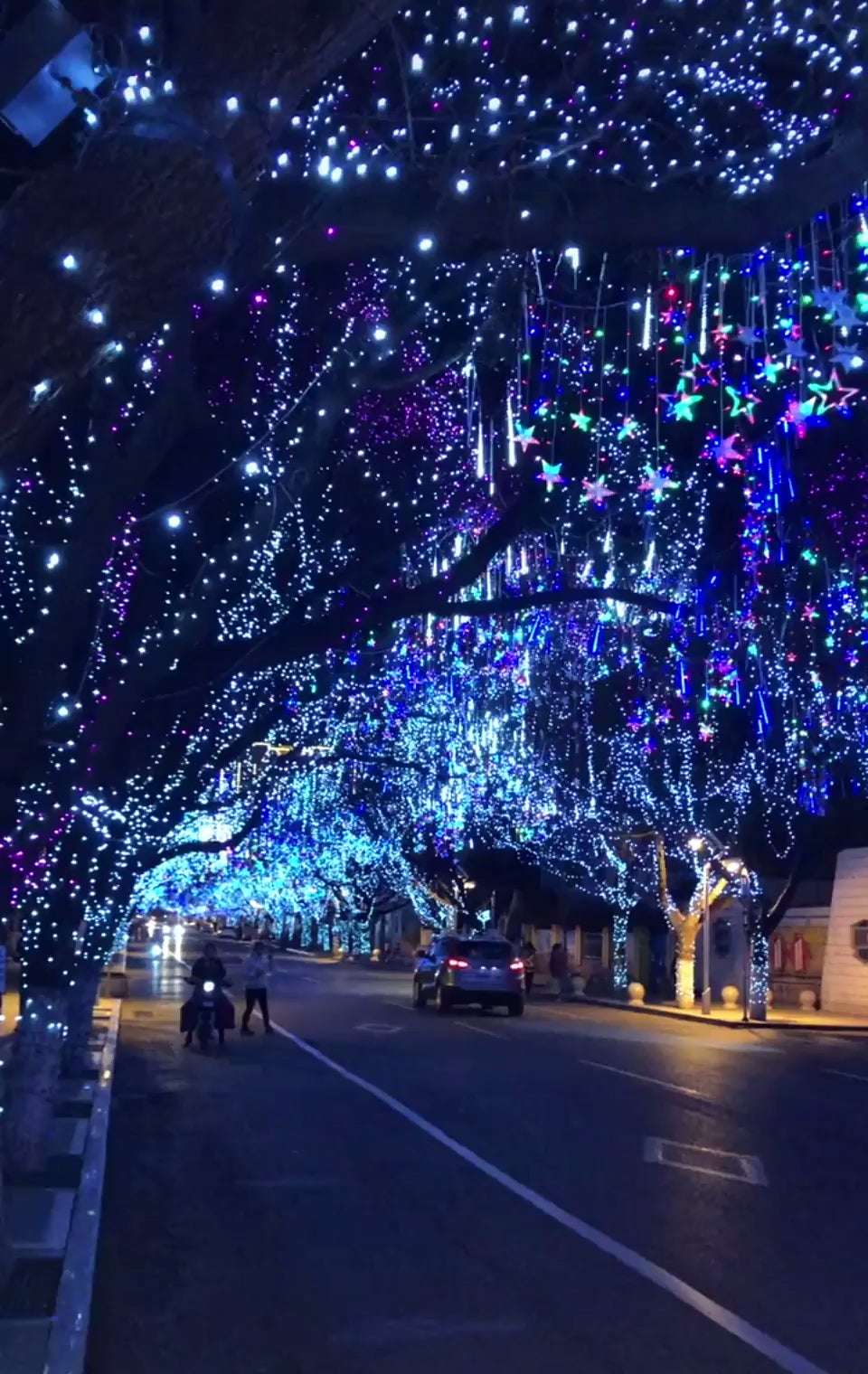 image for This Christmas Lit Street in Detroit : woahdude