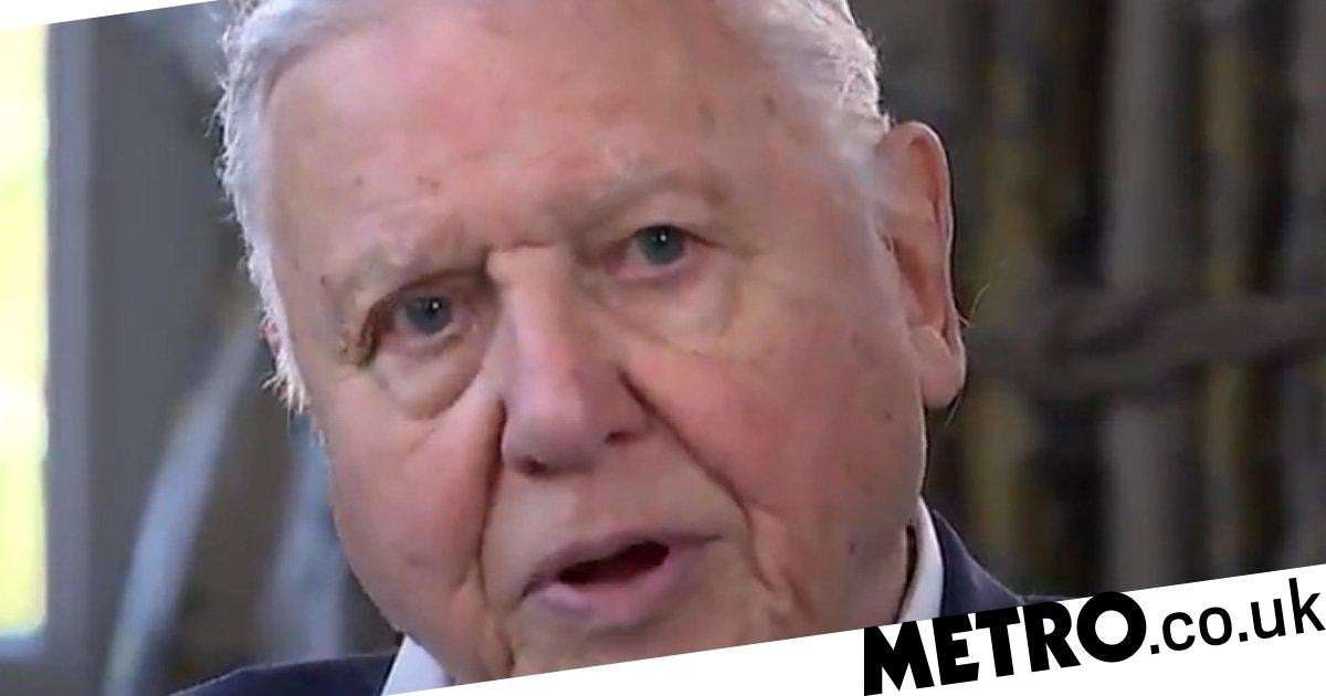 image for Sir David Attenborough says it’s ‘too late’ to reverse climate change
