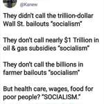 image for "That's not socialism, its Capitalism with style" - Republicans, probably