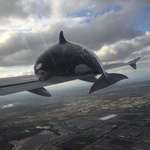 image for I photoshopped an Orca whale getting hit by a plane