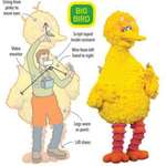 image for How the Big Bird costume worked.
