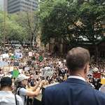 image for Over 10,000 Sydneysiders have poured into Town Hall to demand action on the climate emergency