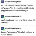 image for Thanks I hate using the word pupper now