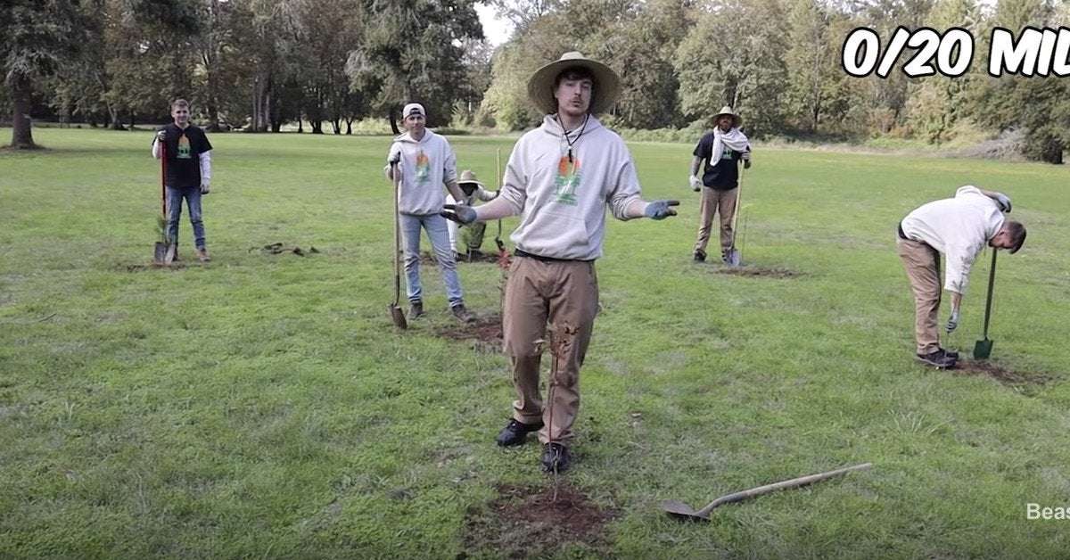 image for YouTubers, Silicon Valley, and fans help MrBeast raise $20 million for tree charity