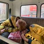 image for Exhausted firefighters in Australia