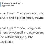 image for The new American Dream