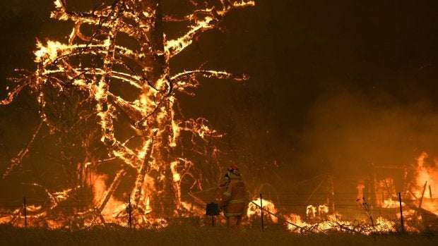 image for Sixty-nine Canadians giving up holidays to help with Australian wildfires