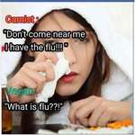 image for Gatekeeping influenza: the virus that HATES vegans