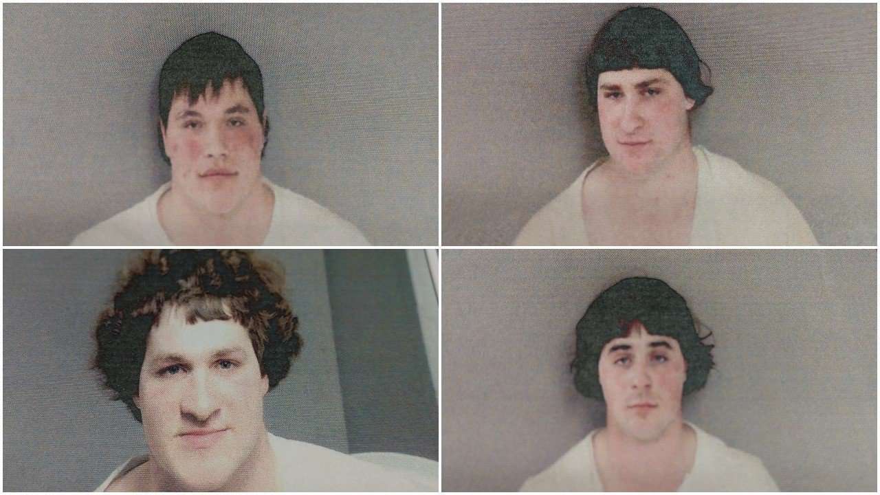 image for 4 underage men accused of drinking while operating horse and buggy
