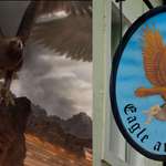 image for In "The Lord of the Rings: The Return of the King" (2003) the giant eagle that saves Frodo & Samwise, as originally described in J.R.R. Tolkien's book (1955), was inspired by the pub in Oxford where Tolkien famously wrote much of the novels. The pub's plackard depicts a large eagle carrying a boy.