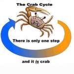 image for Crab
