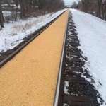 image for A train car in Minnesota carrying corn had a leak.