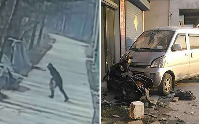 image for Dog killer dies after pet owner rams him into a brick wall with his car