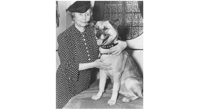 image for TIL That the famous deaf-blind writer Hellen Keller received a gift from a Japanese police officer who gave her an Akita dog named Kamikaze-Go as a present. After the dog's death Japan’s government gifted another Akita, making her the first person to bring the dog breed to the U.S. In 1948