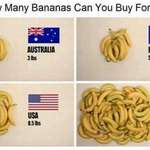 image for How Many Bananas Can You Buy for $5 in 4 different countries?