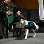 image for This service dog received his Master’s Degree in Occupational Therapy from Clarkson University after attending every single class with his human.