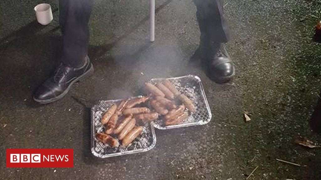 image for Rescued piglets served up as sausages to firefighters