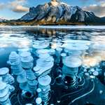 image for The spectacle of frozen methane bubbles at Abraham Lake, Alberta, Canada [OC][1233x1850]