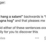 image for “Go hang a salami “ I’m a lasagna hog”