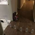 image for My kids came in and told me there was water coming from the laundry room. They said it looked like it started at the washer. I rushed in to find this. Buncha comedians in my house...