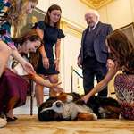 image for The Irish President loves when people pet his dog.