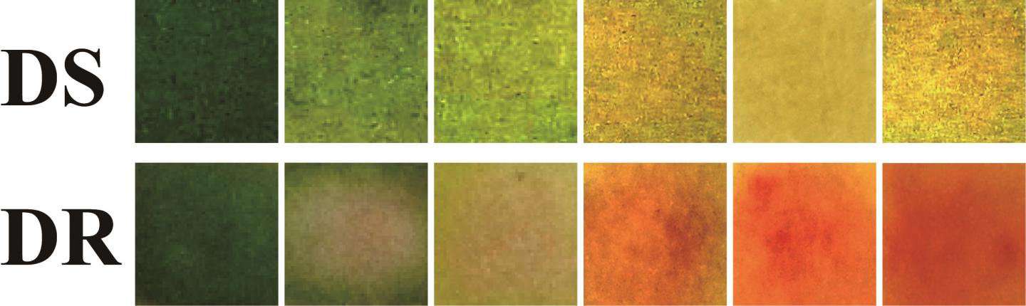 image for Color-changing bandages sense and treat bacterial infections