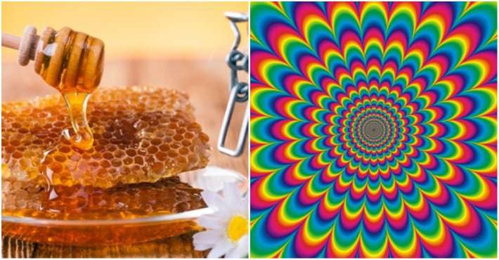 image for This trippy honey can actually have the same effect on you as LSD