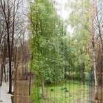 image for A picture in 365 slices. Each slice is one day of the year. Photo/Eirik Solheim