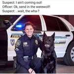 image for Thanks, i hate police werewolves